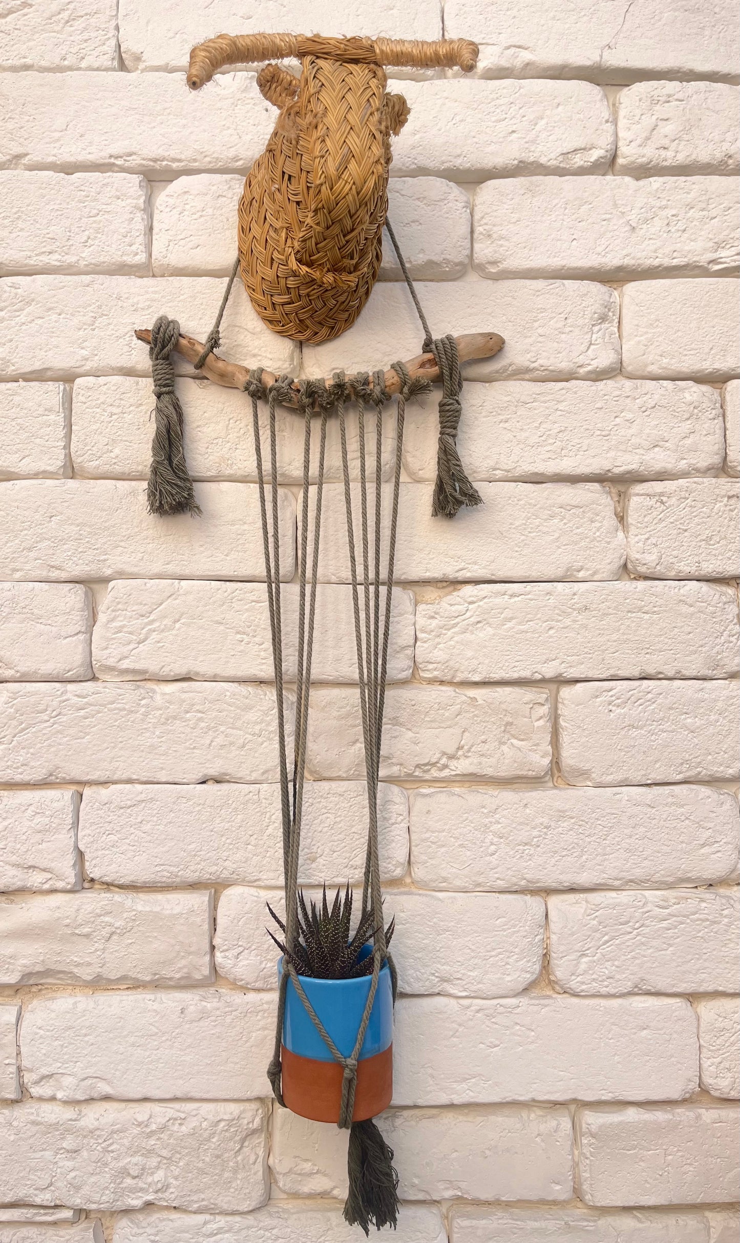 Pot décoratif - VERT BLEU
