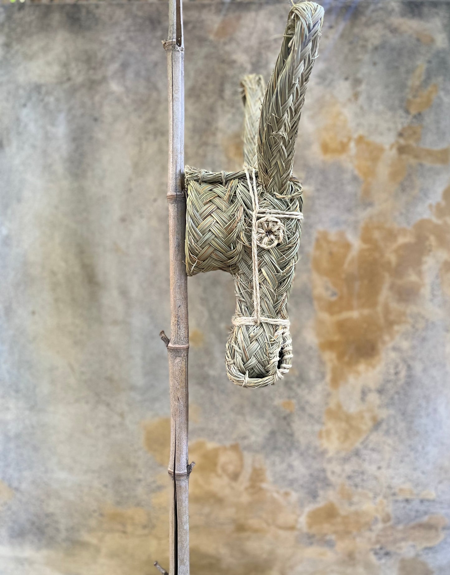 Trophée mural tête d’âne en paille tressée
